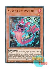 画像: 英語版 25LP-EN002 Snake-Eyes Poplar 蛇眼の炎燐 (ウルトラレア) Limited Edition