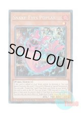 画像: 英語版 25LP-EN002 Snake-Eyes Poplar 蛇眼の炎燐 (シークレットレア / ロゴ入り) Limited Edition