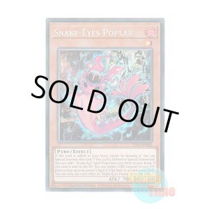 画像: 英語版 25LP-EN002 Snake-Eyes Poplar 蛇眼の炎燐 (シークレットレア / ロゴ入り) Limited Edition