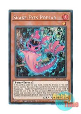 画像: 英語版 25LP-EN002 Snake-Eyes Poplar 蛇眼の炎燐 (シークレットレア) Limited Edition