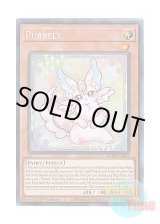 画像: 英語版 AMDE-EN013 Purrely ピュアリィ (コレクターズレア) 1st Edition