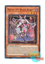 画像: 英語版 CRBR-EN015 Maliss   White Rabbit M∀LICE＜P＞White Rabbit (ウルトラレア) 1st Edition