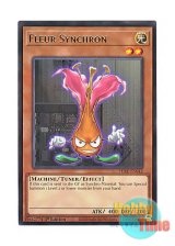 画像: 英語版 PHRE-EN042 Fleur Synchron フルール・シンクロン (レア) 1st Edition