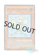 画像: 英語版 PP02-EN005 Elemental HERO Knospe E・HERO クノスペ (スーパーレア)