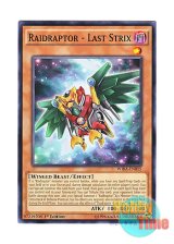 画像: 英語版 WIRA-EN015 Raidraptor - Last Strix RR－ラスト・ストリクス (ノーマル) 1st Edition