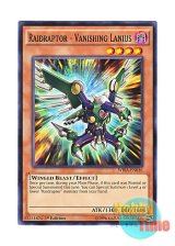 画像: 英語版 WIRA-EN016 Raidraptor - Vanishing Lanius RR－バニシング・レイニアス (ノーマル) 1st Edition