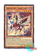 画像: 英語版 WIRA-EN019 Raidraptor - Sharp Lanius RR－インペイル・レイニアス (ノーマル) 1st Edition