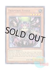 画像: 英語版 MP14-EN085 Traptrix Atrax アトラの蟲惑魔 (レア) 1st Edition