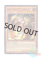 画像: 英語版 MP14-EN086 Traptrix Myrmeleo トリオンの蟲惑魔 (レア) 1st Edition