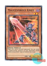 画像: 英語版 MP14-EN129 Malicevorous Knife マリスボラス・ナイフ (ノーマル) 1st Edition