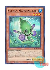 画像: 英語版 MP14-EN198 Sylvan Marshalleaf 森羅の水先 リーフ (ウルトラレア) 1st Edition