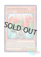 画像: 英語版 MP14-EN201 Sylvan Hermitree 森羅の仙樹 レギア (ウルトラレア) 1st Edition