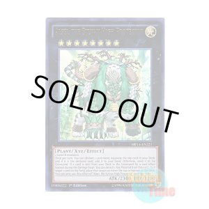 画像: 英語版 MP14-EN221 Alsei, the Sylvan High Protector 森羅の守神 アルセイ (ウルトラレア) 1st Edition