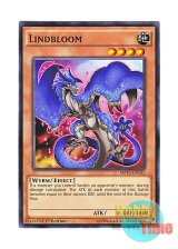 画像: 英語版 MP15-EN152 Lindbloom 竜胆ブルーム (ノーマル) 1st Edition