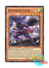 画像: 英語版 MP17-EN188 Shinobird Crow 霊魂鳥－忍鴉 (ノーマル) 1st Edition