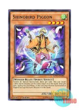 画像: 英語版 MP17-EN190 Shinobird Pigeon 霊魂鳥－伝鳩 (ノーマル) 1st Edition
