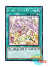 画像: 英語版 MP17-EN217 Ritual Beast Return 霊獣の誓還 (ノーマル) 1st Edition
