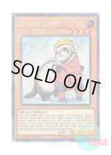 画像: 英語版 MP18-EN054 Rescue Ferret レスキューフェレット (シークレットレア) 1st Edition