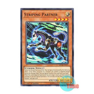 画像: 英語版 MP18-EN171 Striping Partner ストライピング・パートナー (ノーマル) 1st Edition