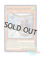 画像: 英語版 MP19-EN245 Recon, Scout Fur Hire 空牙団の飛哨 リコン (ノーマル) 1st Edition