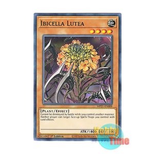 画像: 英語版 MP21-EN009 Ibicella Lutea イビルセラ・ルテア (ノーマル) 1st Edition
