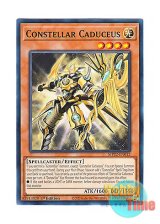 画像: 英語版 MP22-EN012 Constellar Caduceus セイクリッド・カドケウス (ノーマル) 1st Edition