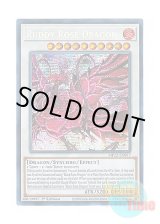 画像: 英語版 MP22-EN077 Ruddy Rose Dragon ブラッド・ローズ・ドラゴン (プリズマティックシークレットレア) 1st Edition