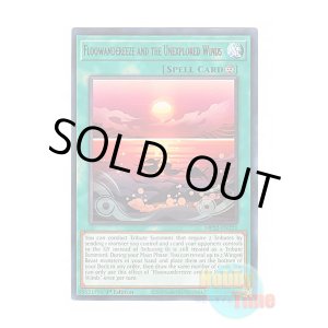 画像: 英語版 MP22-EN221 Floowandereeze and the Unexplored Winds ふわんだりぃずと未知の風 (レア) 1st Edition