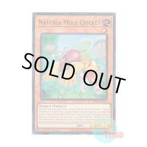 画像: 英語版 MP23-EN170 Naturia Mole Cricket ナチュル・モルクリケット (スーパーレア) 1st Edition