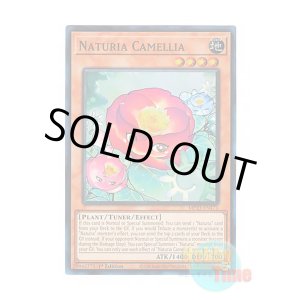 画像: 英語版 MP23-EN171 Naturia Camellia ナチュル・カメリア (スーパーレア) 1st Edition