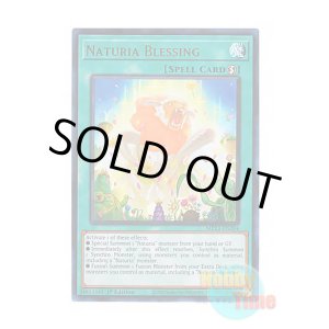 画像: 英語版 MP23-EN204 Naturia Blessing ナチュルの春風 (ウルトラレア) 1st Edition