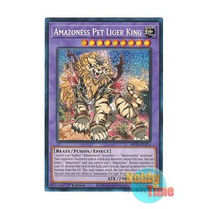 画像: 英語版 MP23-EN224 Amazoness Pet Liger King アマゾネスペット虎獅王 (プリズマティックシークレットレア) 1st Edition