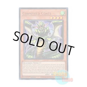 画像: 英語版 MP24-EN207 Cornfield Coatl コーンフィールド コアトル (ウルトラレア) 1st Edition