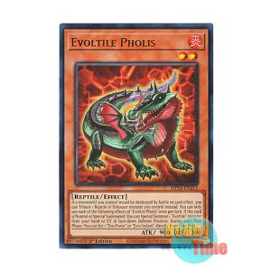 画像: 英語版 MP24-EN213 Evoltile Pholis エヴォルド・フォリス (ウルトラレア) 1st Edition