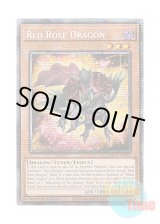 画像: 英語版 MP25-EN037 Red Rose Dragon レッドローズ・ドラゴン (スターライトレア) 1st Edition