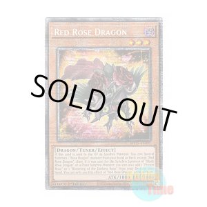 画像: 英語版 MP25-EN037 Red Rose Dragon レッドローズ・ドラゴン (スターライトレア) 1st Edition