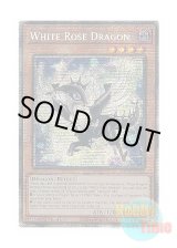 画像: 英語版 MP25-EN038 White Rose Dragon ホワイトローズ・ドラゴン (スターライトレア) 1st Edition