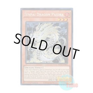 画像: 英語版 MP25-EN064 Tenpai Dragon Paidra 天盃龍パイドラ (プリズマティックシークレットレア) 1st Edition