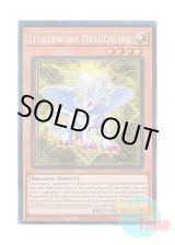 画像: 英語版 MP25-EN066 Lightsworn Dragonling 光道の龍 (プリズマティックシークレットレア) 1st Edition