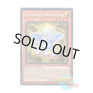 画像: 英語版 MP25-EN066 Lightsworn Dragonling 光道の龍 (プリズマティックシークレットレア) 1st Edition