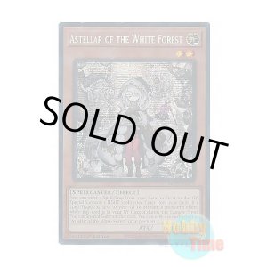 画像: 英語版 MP25-EN079 Astellar of the White Forest 白き森のアステーリャ (プリズマティックシークレットレア) 1st Edition