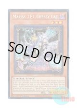 画像: 英語版 MP25-EN123 Maliss   Chessy Cat M∀LICE＜P＞Cheshire Cat (プリズマティックシークレットレア) 1st Edition