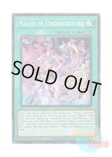 画像: 英語版 MP25-EN127 Maliss in Underground M∀LICE IN UNDERGROUND (プリズマティックシークレットレア) 1st Edition