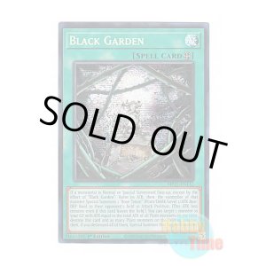 画像: 英語版 MP25-EN132 Black Garden ブラック・ガーデン (プリズマティックシークレットレア) 1st Edition
