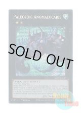 画像: 英語版 MP25-EN137 Paleozoic Anomalocaris バージェストマ・アノマロカリス (プリズマティックシークレットレア) 1st Edition