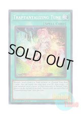 画像: 英語版 MP25-EN143 Traptantalizing Tune 蟲惑の誘い (プリズマティックシークレットレア) 1st Edition