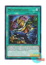 画像: 英語版 MP25-EN171 Mutamorphosis 突然回帰 (ウルトラレア) 1st Edition