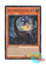 画像: 英語版 MP25-EN182 Ragnaraika the Evil Seed 蕾禍ノ毬首 (ウルトラレア) 1st Edition