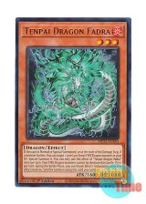 画像: 英語版 MP25-EN183 Tenpai Dragon Fadra 天盃龍ファドラ (ウルトラレア) 1st Edition
