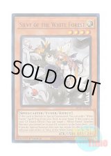 画像: 英語版 MP25-EN214 Silvy of the White Forest 白き森のシルヴィ (ウルトラレア) 1st Edition